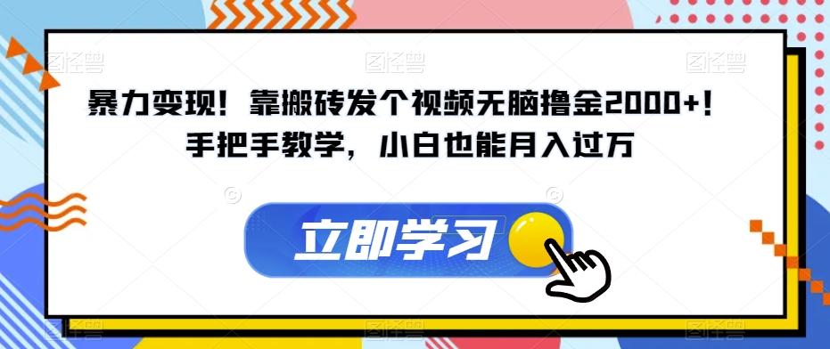 暴力变现！靠搬砖发个视频无脑撸金2000+！手把手教学，小白也能月入过万【揭秘】-归鹤副业商城