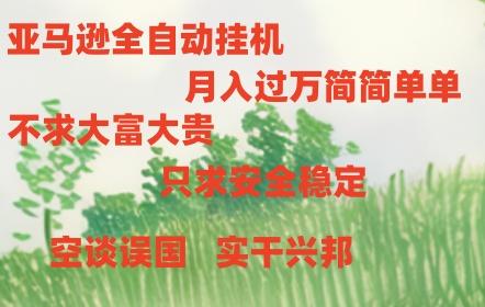 亚马逊全自动浏览挂机，，收益稳定且前景广阔-归鹤副业商城