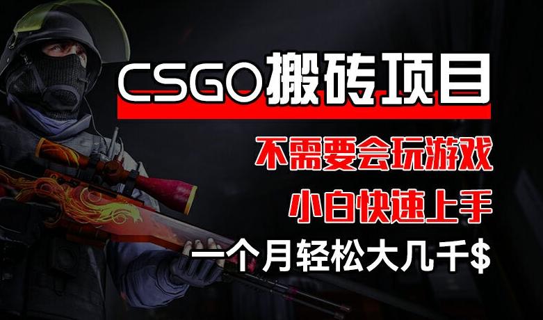 CSGO 装备搬砖项目，操作简单，不需要会玩游戏，小白也能快速上手，一个月轻松大几千【揭秘】-归鹤副业商城