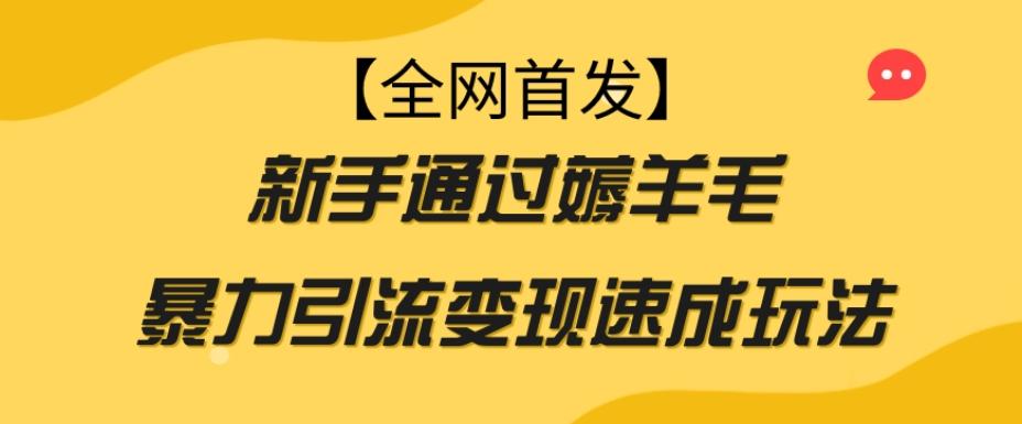 【全网首发】新手通过薅羊毛暴力引流变现速成玩法-归鹤副业商城