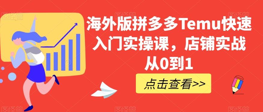 海外版拼多多Temu快速入门实操课，店铺实战从0到1-归鹤副业商城