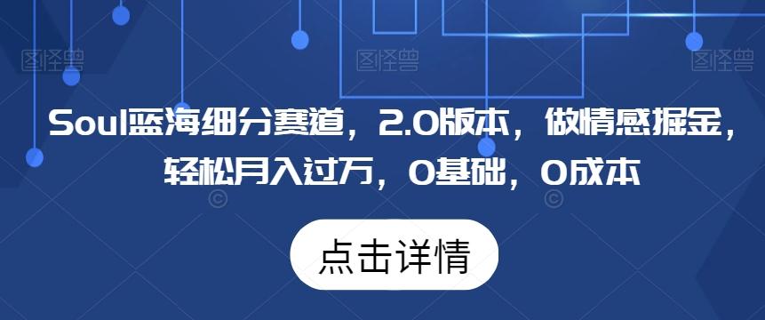 Soul蓝海细分赛道，2.0版本，做情感掘金，轻松月入过万，0基础，0成本-归鹤副业商城