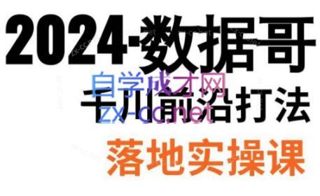 数据哥·2024年千川前沿打法落地实操课-归鹤副业商城