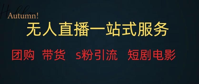 无人直播一站式服务（教程以及变现方式）-归鹤副业商城