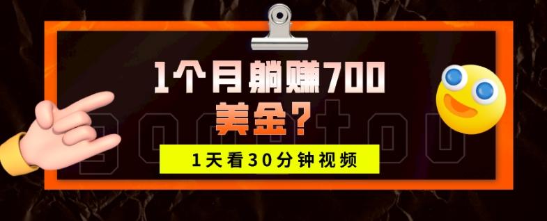 1天看30分钟视频，1个月躺赚700美金？-归鹤副业商城