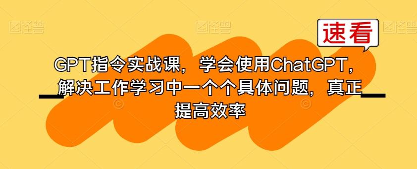 GPT指令实战课，学会使用ChatGPT，解决工作学习中一个个具体问题，真正提高效率-归鹤副业商城