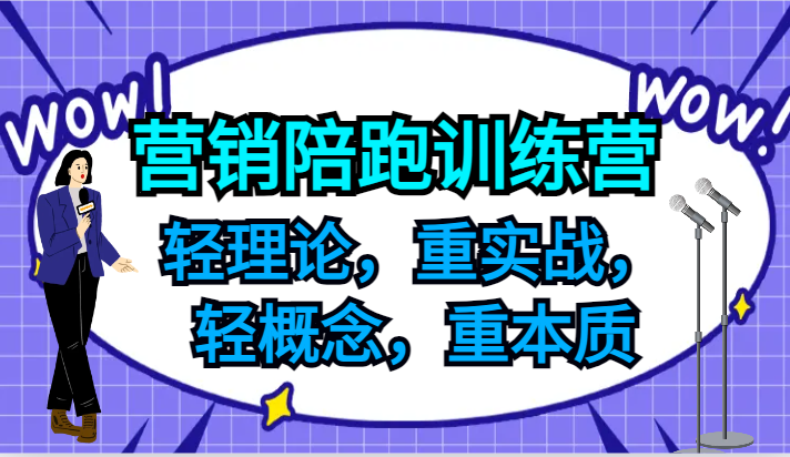 营销陪跑训练营，轻理论，重实战，轻概念，重本质，适合中小企业和初创企业的老板-归鹤副业商城