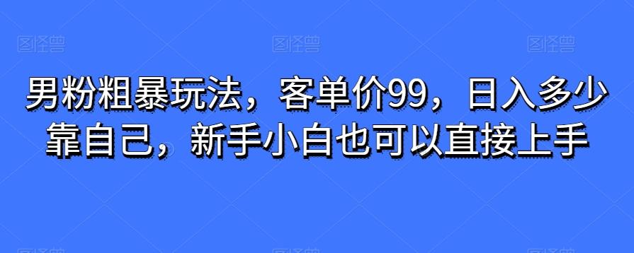 男粉粗暴玩法，客单价99，日入多少靠自己，新手小白也可以直接上手-归鹤副业商城