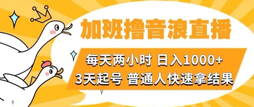 加班撸音浪直播，每天两小时，日入1000+，直播话术才3句，3天起号，普通人快速拿结果【揭秘】-归鹤副业商城