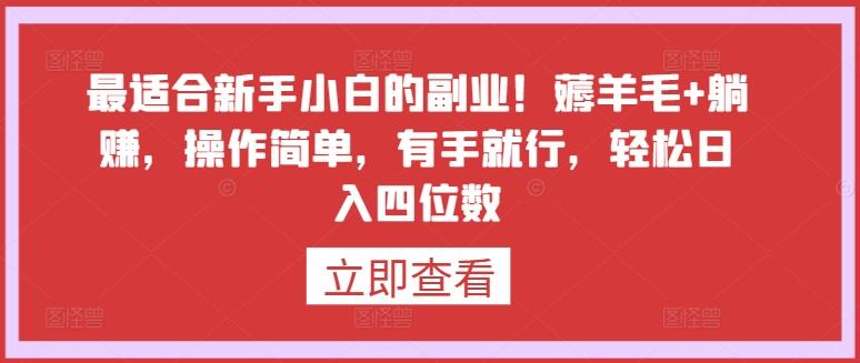 最适合新手小白的副业！薅羊毛+躺赚，操作简单，有手就行，轻松日入四位数【揭秘】-归鹤副业商城