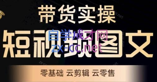 鑫哥·2024零基础短视频带货实操营-归鹤副业商城