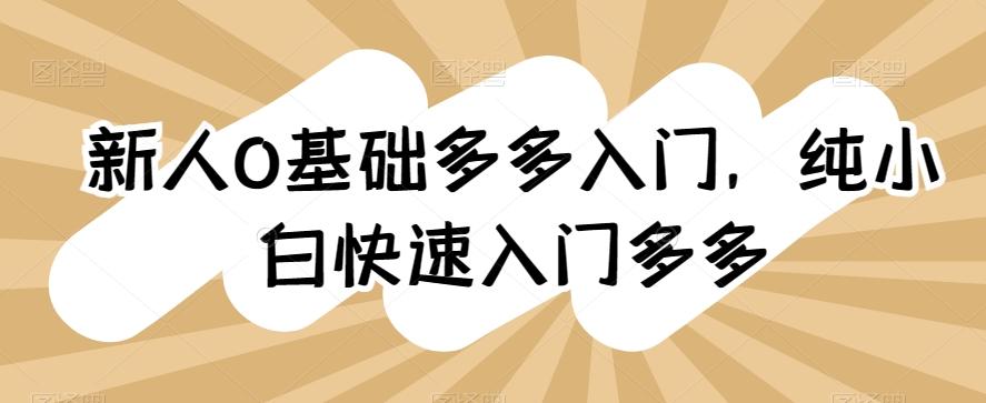 新人0基础多多入门，​纯小白快速入门多多-归鹤副业商城