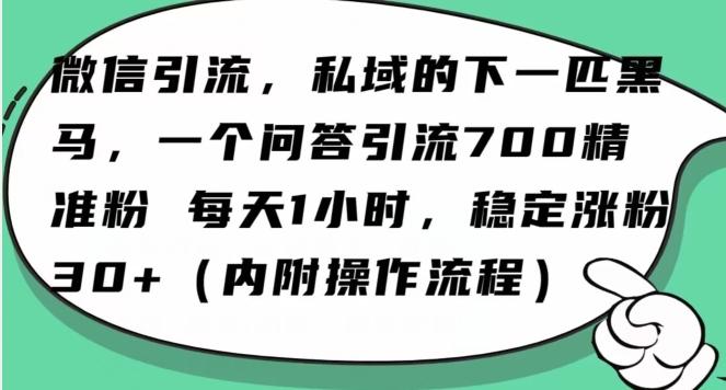 怎么搞精准创业粉？微信新赛道，每天一小时，利用Ai一个问答日引100精准粉-归鹤副业商城