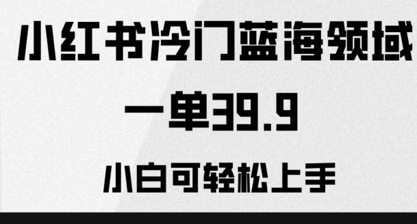 小红书冷门蓝海领域，一单39.9，小白可轻松上手-归鹤副业商城