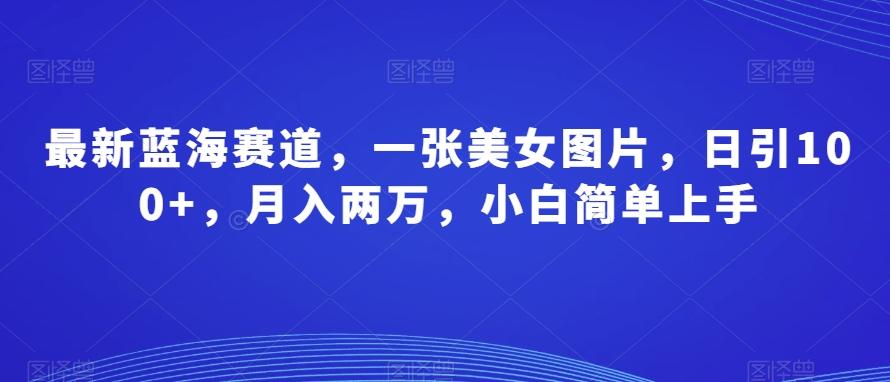 最新蓝海赛道，一张美女图片，日引100+，月入两万，小白简单上手-归鹤副业商城