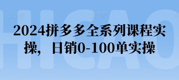 2024拼多多全系列课程实操，日销0-100单实操【必看】-归鹤副业商城