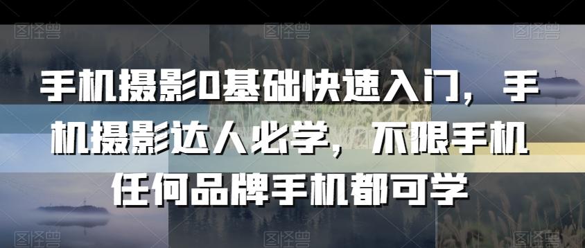 手机摄影0基础快速入门，手机摄影达人必学，不限手机任何品牌手机都可学-归鹤副业商城