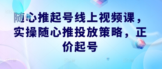 随心推起号线上视频课，实操随心推投放策略，正价起号-归鹤副业商城