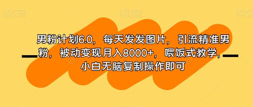 男粉计划6.0，每天发发图片，引流精准男粉，被动变现月入8000+，喂饭式教学，小白无脑复制操作即可-归鹤副业商城