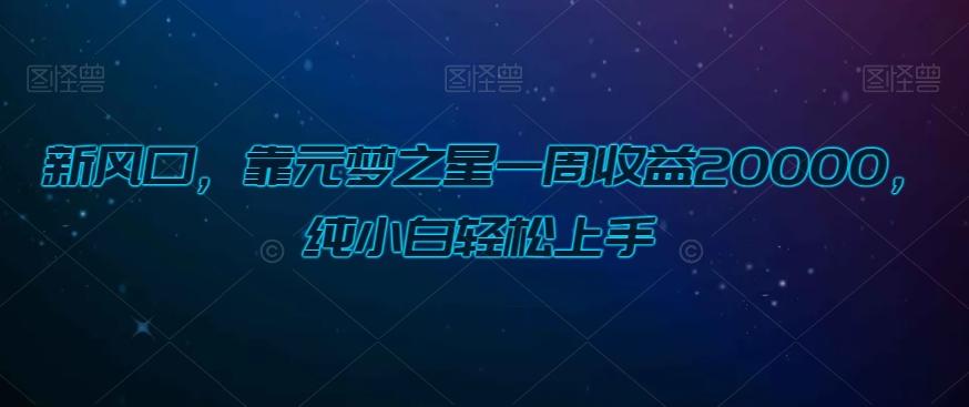 新风口，靠元梦之星一周收益20000，纯小白轻松上手-归鹤副业商城