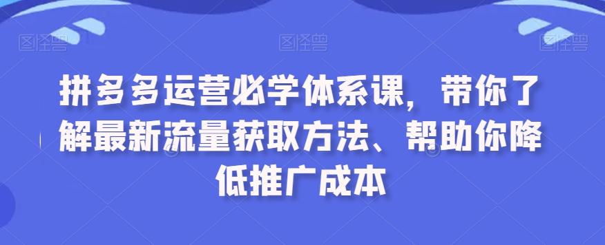 拼多多运营必学体系课，带你了解最新流量获取方法、帮助你降低推广成本-归鹤副业商城