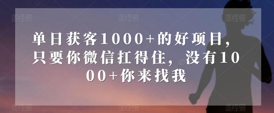 单日获客1000+的好项目，只要你微信扛得住，没有1000+你来找我【揭秘】-归鹤副业商城