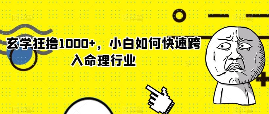 玄学狂撸1000+，小白如何快速跨入命理行业-归鹤副业商城