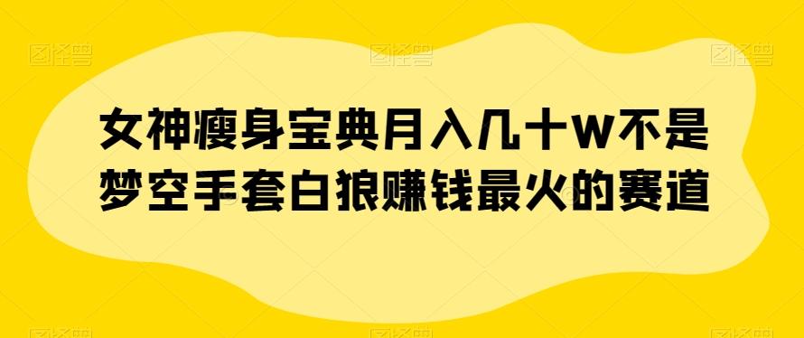 女神瘦身宝典月入几十W不是梦空手套白狼赚钱最火的赛道【揭秘】-归鹤副业商城