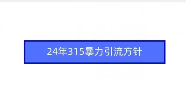 24年315暴力引流方针-归鹤副业商城