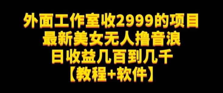 外面工作室收2999的项目最新美女无人撸音浪日收益几百到几千【教程+软件】（仅揭秘）-归鹤副业商城