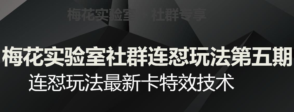 梅花实验室社群连怼玩法第五期，视频号连怼玩法最新卡特效技术-归鹤副业商城