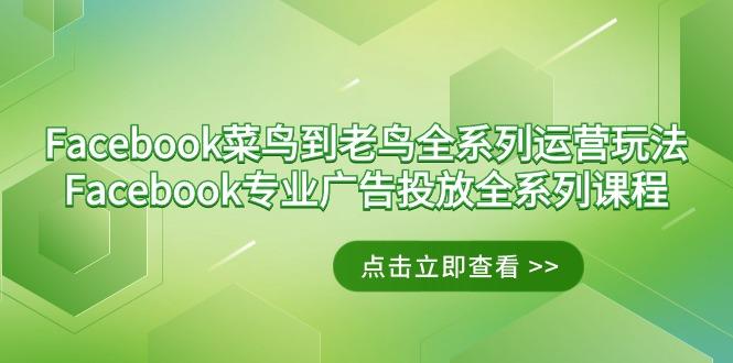 Facebook-菜鸟到老鸟全系列运营玩法+Facebook-专业广告投放全系列课程-归鹤副业商城