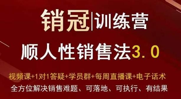 爆款！销冠训练营3.0之顺人性销售法，全方位解决销售难题、可落地、可执行、有结果-归鹤副业商城