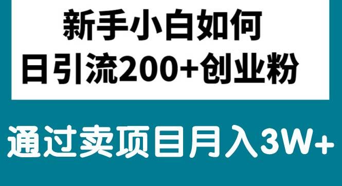 新手小白日引流200+创业粉,通过卖项目月入3W+-归鹤副业商城