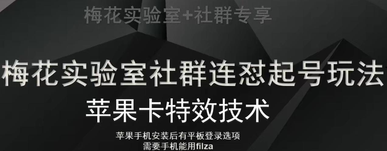 梅花实验室社群视频号连怼起号玩法，最新苹果卡特效技术-归鹤副业商城