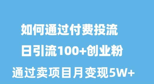 如何通过付费投流日引流100+创业粉月变现5W+-归鹤副业商城