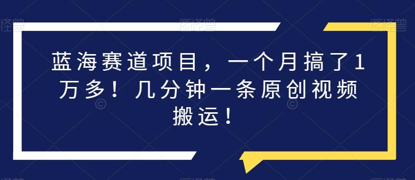 蓝海赛道项目，一个月搞了1万多！几分钟一条原创视频搬运！-归鹤副业商城