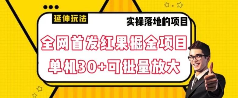 全网首发红果免费短剧掘金项目，单机30+可批量放大【揭秘】-归鹤副业商城