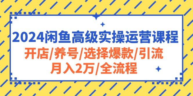 2024闲鱼高级实操运营课程：开店/养号/选择爆款/引流/月入2万/全流程-归鹤副业商城