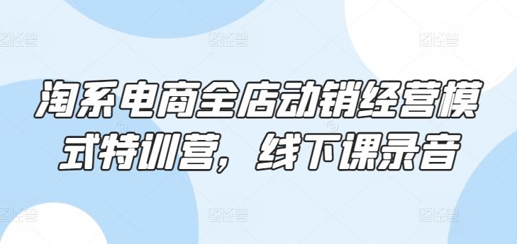 淘系电商全店动销经营模式特训营，线下课录音-归鹤副业商城