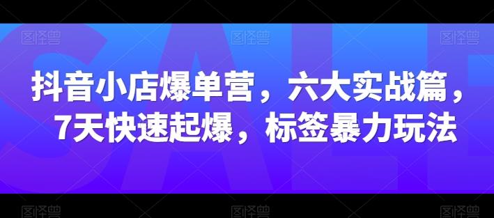 抖音小店爆单营，六大实战篇，7天快速起爆，标签暴力玩法-归鹤副业商城