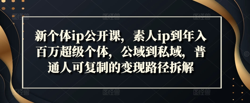 新个体ip公开课，素人ip到年入百万超级个体，公域到私域，普通人可复制的变现路径拆解-归鹤副业商城