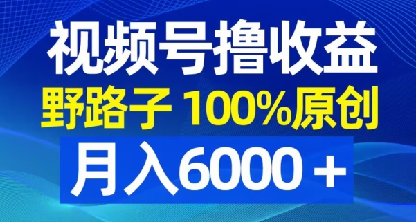 视频号野路子撸收益，100%原创，条条爆款，月入6000＋【揭秘】-归鹤副业商城