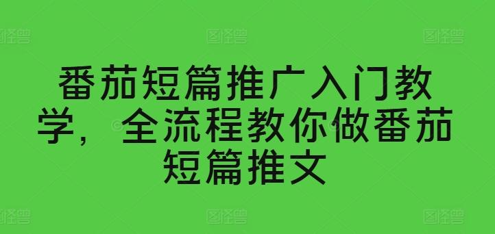 番茄短篇推广入门教学，全流程教你做番茄短篇推文-归鹤副业商城