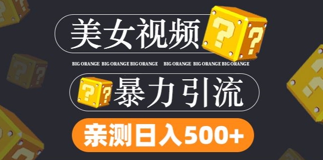 搬运tk美女视频全网分发，日引s粉300+，轻松变现，不限流量不封号【揭秘】-归鹤副业商城