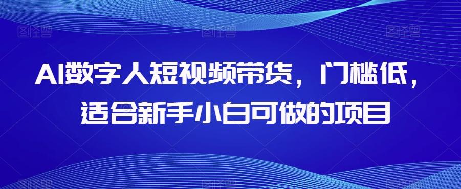 AI数字人短视频带货，门槛低，适合新手小白可做的项目-归鹤副业商城