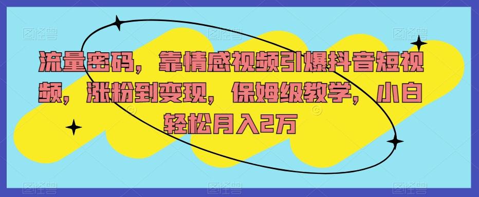 流量密码，靠情感视频引爆抖音短视频，涨粉到变现，保姆级教学，小白轻松月入2万【揭秘】-归鹤副业商城