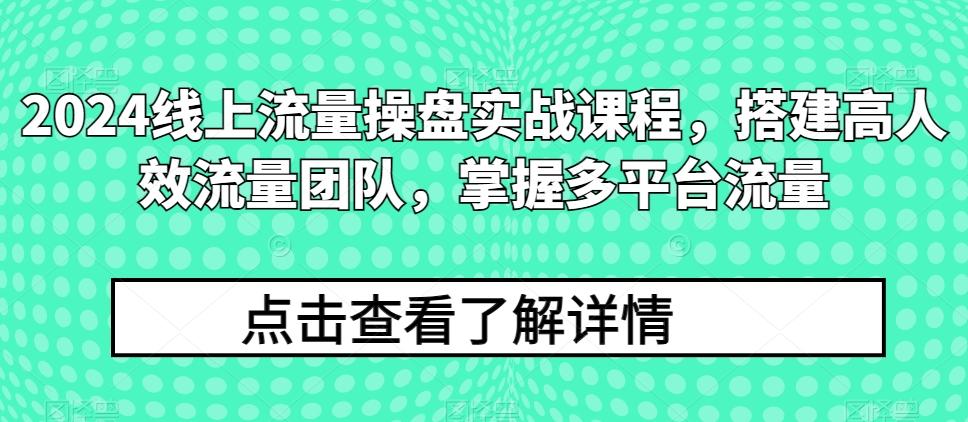 2024线上流量操盘实战课程，搭建高人效流量团队，掌握多平台流量-归鹤副业商城