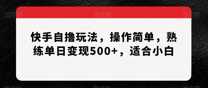 快手自撸玩法，操作简单，熟练单日变现500+，适合小白【揭秘】-归鹤副业商城