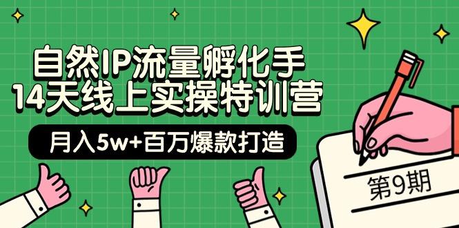 (9881期)自然IP流量孵化手 14天线上实操特训营【第9期】月入5w+百万爆款打造 (74节)-归鹤副业商城